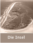Die Insel